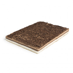 PLANCHA SELVA NEGRA KÖRFEST...