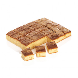 PLANCHA BIZCOCHO CASERA...